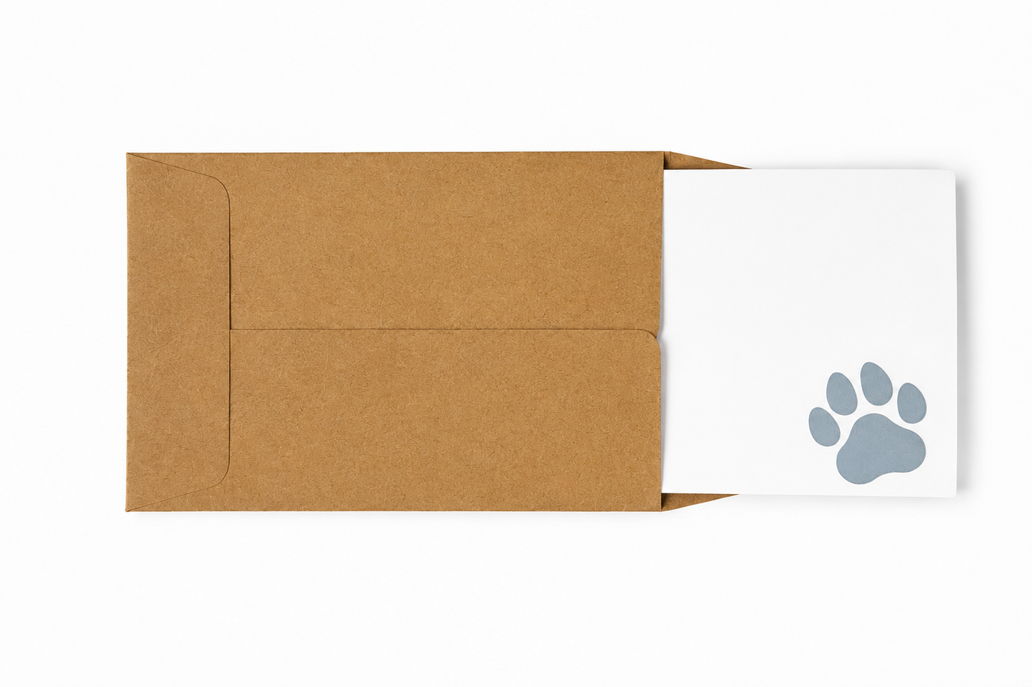 Paw Print Pocket Notes - Box of 10